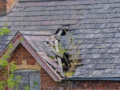 Professional ceiling water damage repair services in Edmond - water damage cleanup